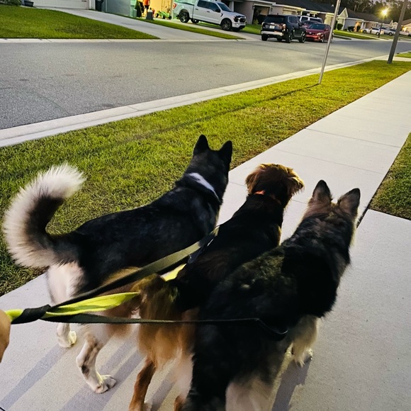 Meet your Posher, Clau - Picture 6 of 7